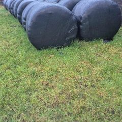 silage bales