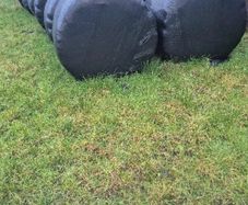 silage bales