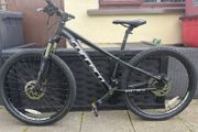 carrera valour mtb mountain bike