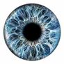 Iris Health Analysis Image 3