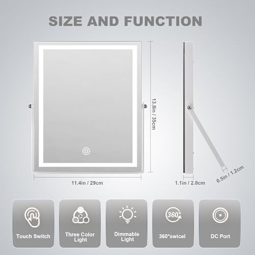 Vanity Mirror with Lights