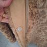 leopard print faux coat Image 4