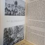 Sierra Leone: A Concise History by A. P. Kup (LP223) Image 4