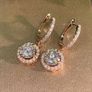 Stunning Earrings Image 5