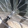 Front Wheel 700c (new) Image 6