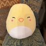 Squishmallow - Chuck the Chick Image 3