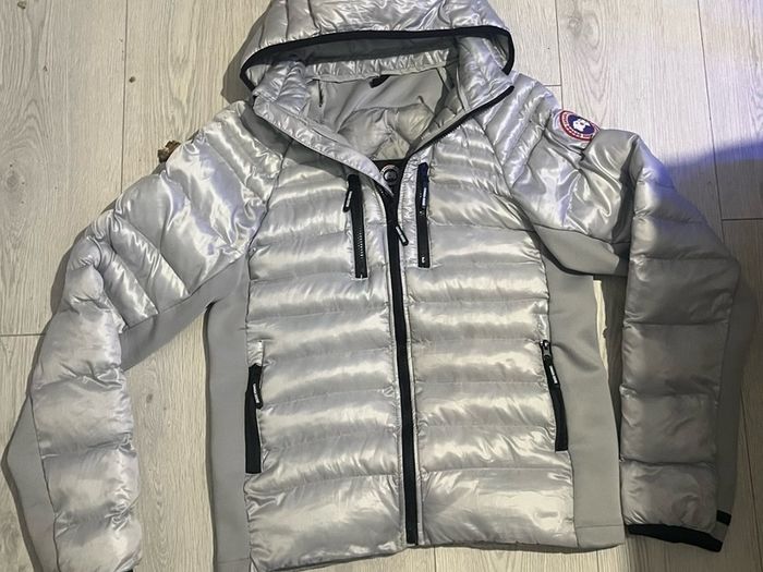 canada goose