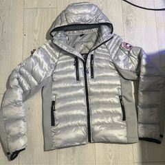 canada goose