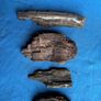 4 small pieces of bog oak Image 6