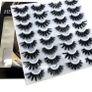 Eye Lashes Image 2