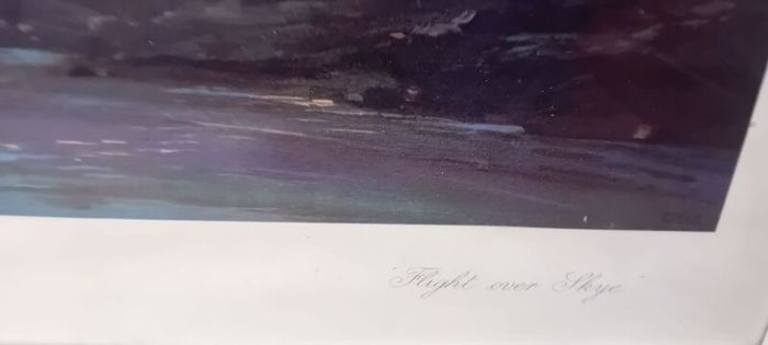 Vintage Vernon Ward Framed Print