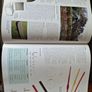 Coarse Fishing A Step-By-Step Guide Image 5