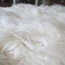 Large Sheepskin Rug Image 9