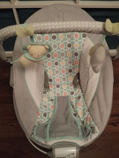Baby Bouncer
