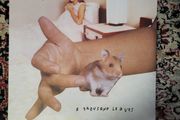 Sonic Youth - Thousand Leaves 2 LP