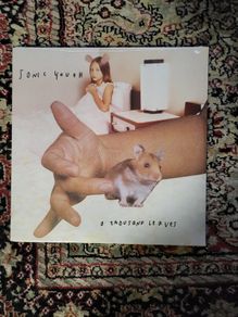 Sonic Youth - Thousand Leaves 2 LP