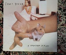 Sonic Youth - Thousand Leaves 2 LP