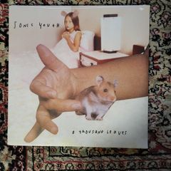 Sonic Youth - Thousand Leaves 2 LP