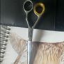 Professional Scissors Image 4