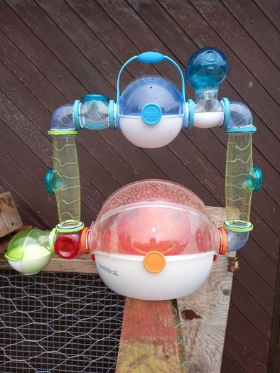 habitrail ovo cage with accessories