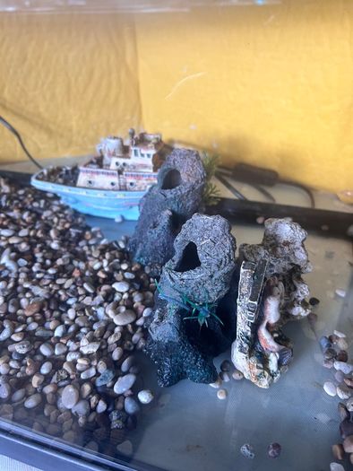 Fish tank