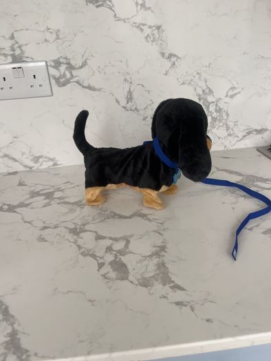 Toy Dog