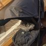 buggy with rain cover & foot muffins Image 6
