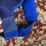 brand new Neo G right shoulder support fitness Image 4