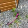Stunt Scooter Image 5
