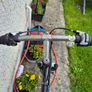 Mountain bike Image 4