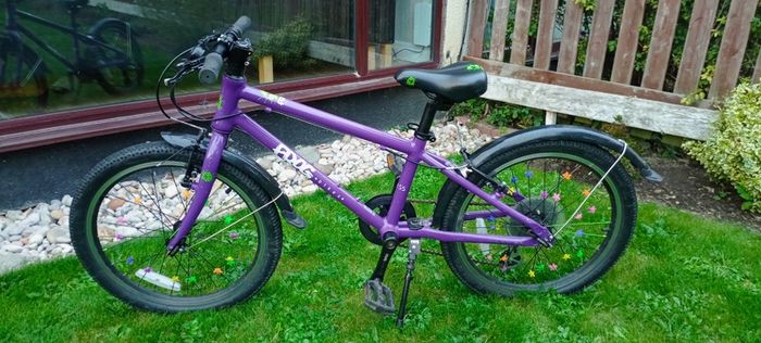 Frog 55 Bike