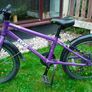 Frog 55 Bike Image 2