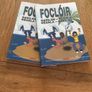 Focloir Image 3