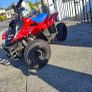 quad Image 2