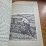 First Edition. Kippel A changing village in the Alps John Friedl. / Anthropology Image 6