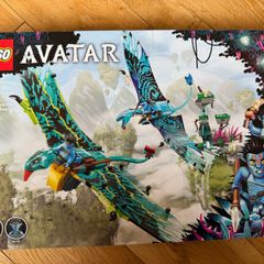 Avatar Lego 75572