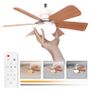 Brand New DBFAIRY 52CM Ceiling Fan with Lighting and Remote Control, Image 6