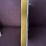 Squier Paranormal Troublemaker Telecaster Deluxe review Image 4