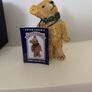 Teddy Collection - Peter Fagan's - Wellington and Shoestring Image 3