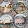 Block Indonesia Country Farm Plate X 4 Image 3