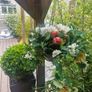 hanging Basket Image 2
