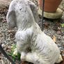 Garden Dog Image 2