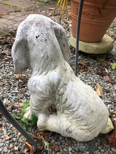 Garden Dog
