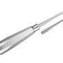 Dental Luxators Image 4