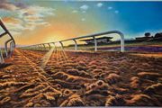 Curragh RaceCours Track at Sunset | oil painting | framed