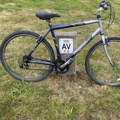 hybrid bike
