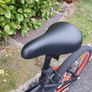 bmx Image 8