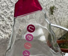 EVIAN 2006 Collectible Limited Edition Water Bottle