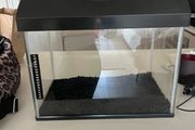 diversa fish tank
