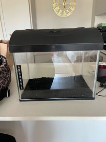 diversa fish tank